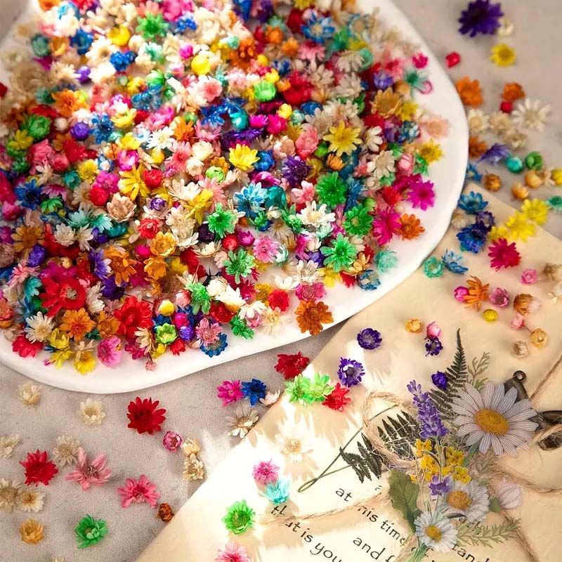 왁스 성형용 혼합 다채로운 꽃, 송진 공예, DIY 장 - Resin Craft Ideas 리뷰 및 가격